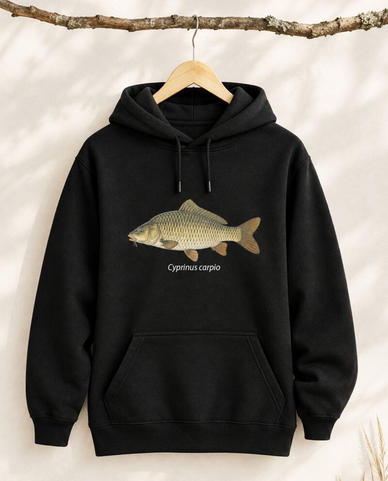 karpio džemperis su gobtuvu Cyprinus Carpio iliustracija