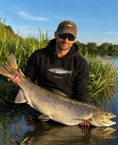 lašišos džemperis su gobtuvu video Salmo Salar iliustracija