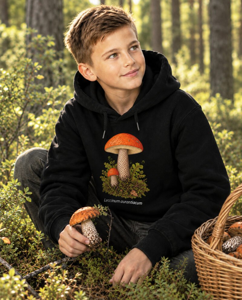 Raudonikių džemperis – Leccinum aurantiacum